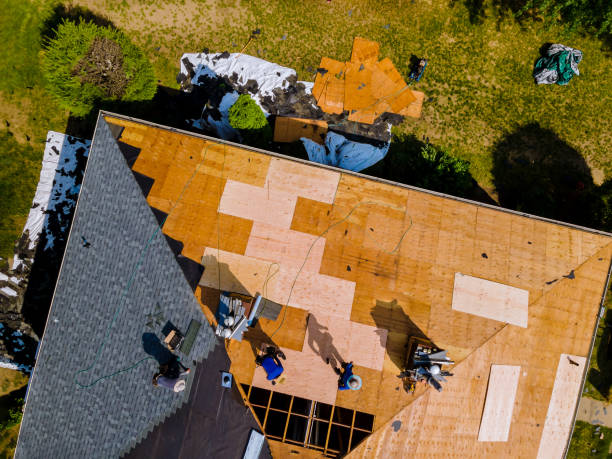 Best Roof Restoration Services  in Daleville, VA