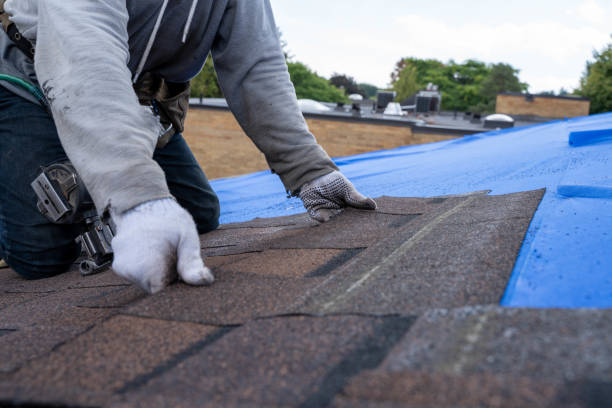 Best Residential Roofing Contractor  in Daleville, VA