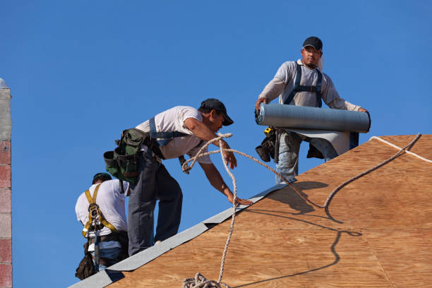 Best Roof Waterproofing Services  in Daleville, VA