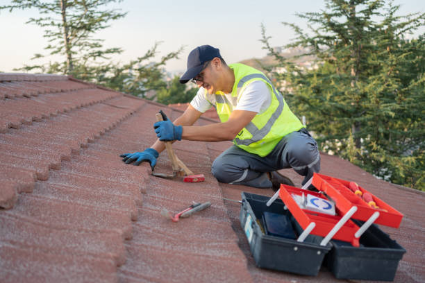 Best Roof Maintenance Services  in Daleville, VA