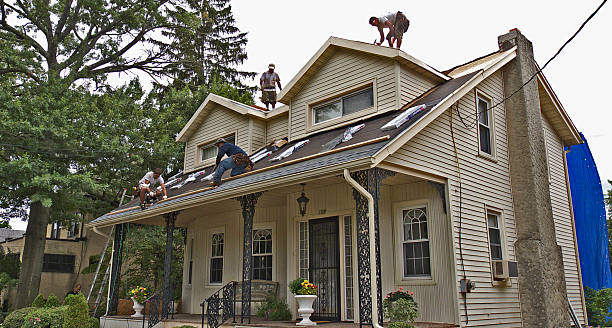 Best Flat Roof Repair Services  in Daleville, VA