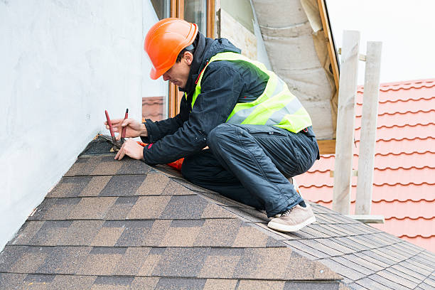 Best Roof Leak Repair  in Daleville, VA