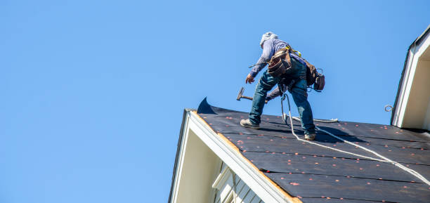 Best Gutter Installation and Roofing  in Daleville, VA